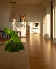 ART OF HEALING Bild 12