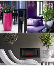 Gartenfachmarkt Richter Bild 5