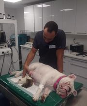 Clinique Vétérinaire Animedis La Ciotat image 4