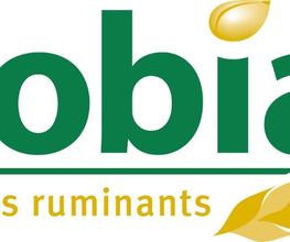 Bouhier image 11