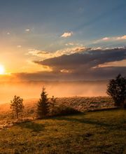 Naturheilpraxis Tegel - Elke Tegel Heilpraktikerin Bild 1