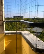 bioControl Schädlingsbekämpfung - Christian Hackel Blossin Deutschland