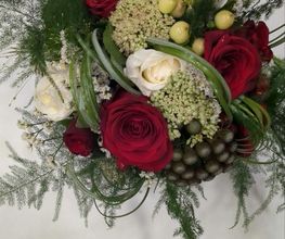 Gypsophile image 18