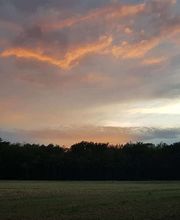 Rites des Bois image 9