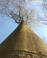FriedWald Buxtehude Bild 16