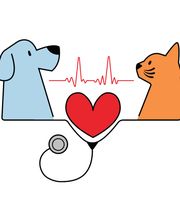 Family Pet Clinic Southampton image 8