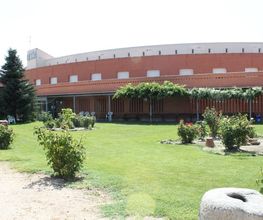 169169869-1-tETZI0bTvZ1599032461493.jpg