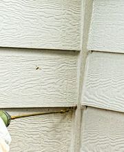 ServGuard Pest Solutions image 2