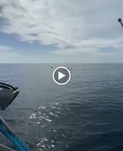 Tommy Car Rental Mietwagen imagen 12