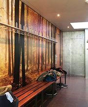 Maler Wörtz Bild 7