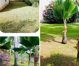 DJA Garden services image 3