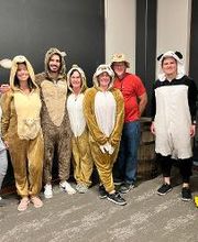 Peak Properties image 11