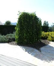 Chatelain Paysages SARL image 12