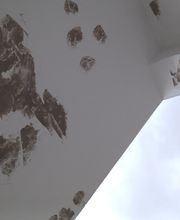 Malerei & Hauswartungsservice Edgar Karl Borns Bild 18