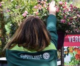 GAMM VERT image 10
