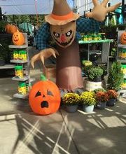 Tractor Supply Co. image 11