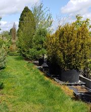 Kienzle Garten GmbH Bild 3