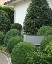 VITA VERDE AG Bild 8