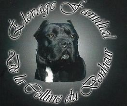Chenil Des Fontaines image 9