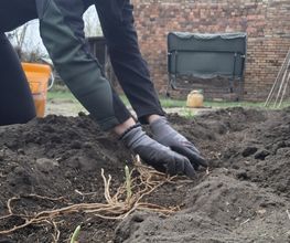 Jenny´s Kükenglück und Gartenzauber Bild 7