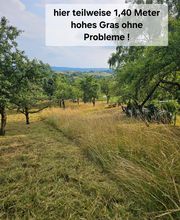 Müller Garten & Haus Bild 5