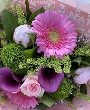 Morisset Sylvie image 11