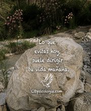 225071554-2-tSv9AdYyDJ1783219633622.png