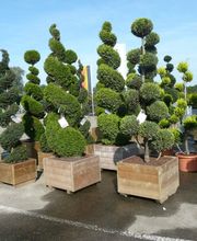 Hermann Meyer Garten- und Landschaftsbau Bild 1