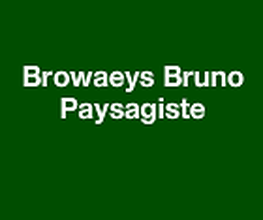 Browaeys Bruno image 1