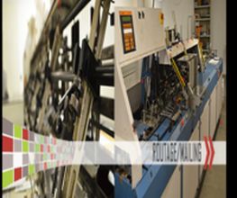 TNL Marketing image 3