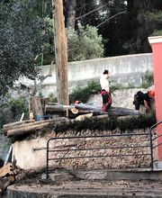 Au Gré Des Arbres image 4