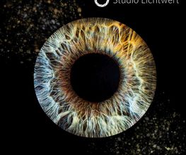 Studio Lichtwert Bild 1