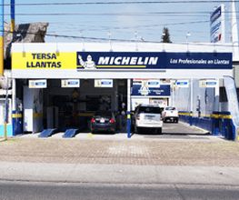 TERSA Llantas Patria imagen 1