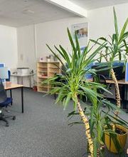 Großer Schulungsraum mit 12 Plätzen zu sehen sind vereinzelnd PC Arbeitsplätze mit großer Bodenpflanze