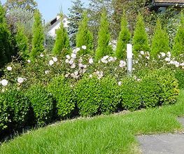Rohner Gartenbau AG Bild 3