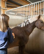 Manège et Poney Club de Presinge Bild 9