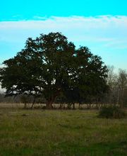 C.E. Muegge Real Estate image 3