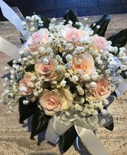 Blumen Kaiser Bild 6