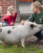 Kinderbauernhof Wigger Bild 21