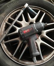 Tigers Rennstall Bild 2