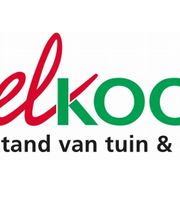 Klazienaveen Welkoop NF