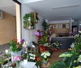 Soli'flore image 6