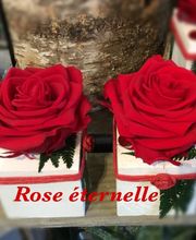 Efflorescence image 16