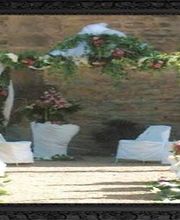 Delaveau Eric-pierre image 4