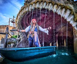 Pirates World image 7