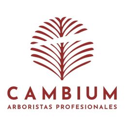 Logo-cambium-red__msi___jpg.jpg
