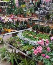 Bricomarché Cabestany image 3