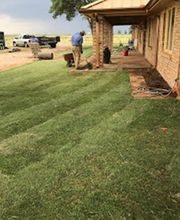 Bautista Pros Landscaping and Irrigation image 11