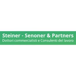 Steiner - Senoner E Partners logo