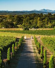 Domaine GAYDA image 4